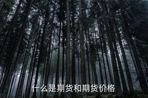什么是期貨和期貨價格