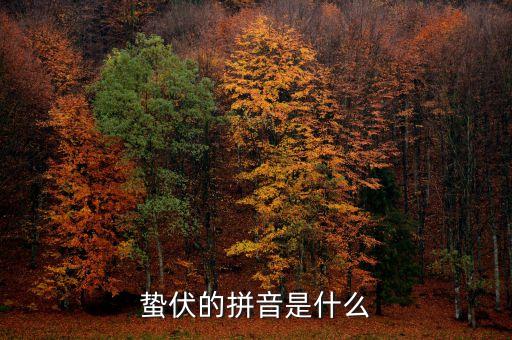 人的蟄伏期是什么，寂寂人定初中的人定是什么時候用天干地支中的回答相當