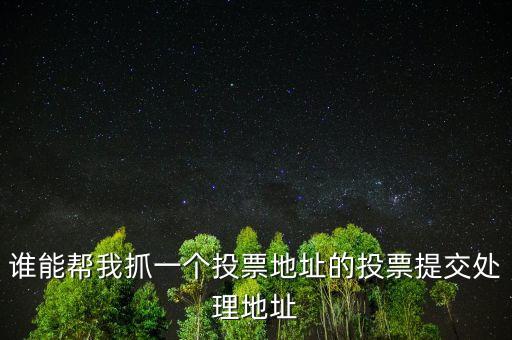 投票提交處理地址是什么，提交投票的問題怎么處理