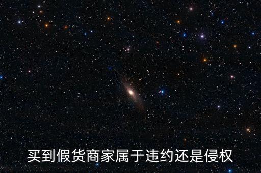 假進口商家承擔(dān)什么責(zé)任，商家銷售假冒商品市場管理方要承擔(dān)多大的管理責(zé)任所在經(jīng)營地的