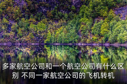 多家航空公司什么意思，同一架飛機(jī)有2家公司運(yùn)營嗎我和我哥買的同一家飛機(jī)為什么是不
