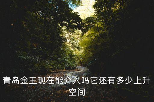 2015青島金王什么概念，青島金王現(xiàn)在能介入嗎它還有多少上升空間