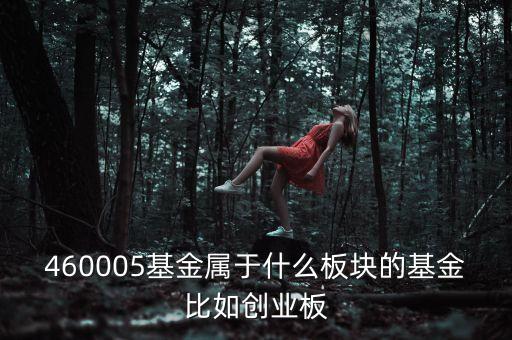 富國(guó)天益價(jià)值重倉(cāng)什么板塊，460005基金屬于什么板塊的基金比如創(chuàng)業(yè)板