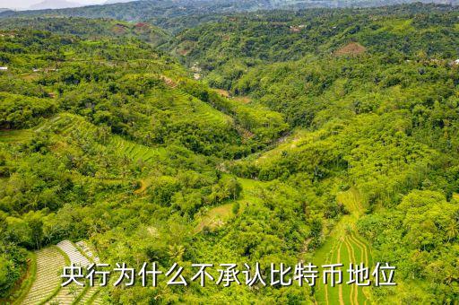 為什么中央不承認(rèn)比特，中美為什么不承認(rèn)比特幣的合法性