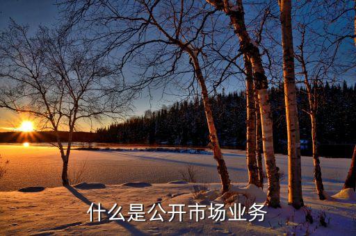 什么是公開(kāi)市場(chǎng)，什么是公開(kāi)市場(chǎng)