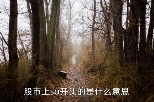 so股票什么意思，股市上so開頭的是什么意思
