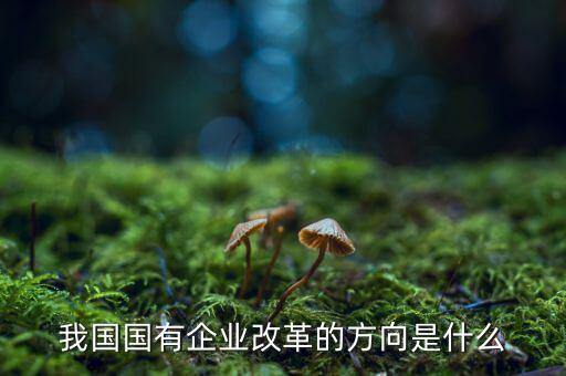 企業(yè)改革方向是什么，我國國有企業(yè)改革的方向是什么