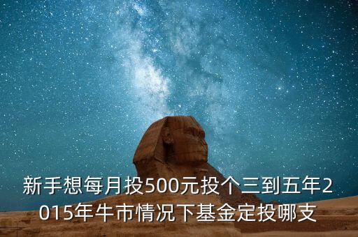2015年新手買什么基金好，2015買什么基金比較好
