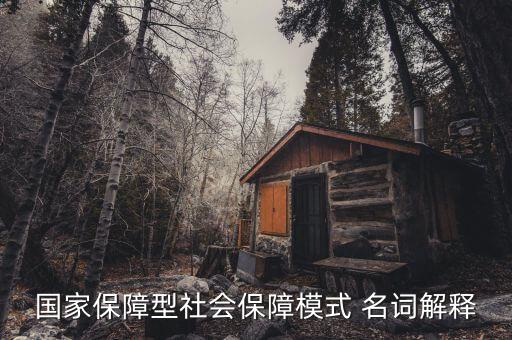 保障型保險什么意思，國家保障型社會保障模式 名詞解釋