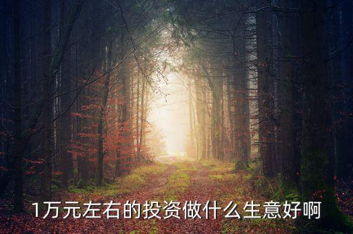 萬投資什么好，有10000元錢拿來做什么最好或者投資什么最好