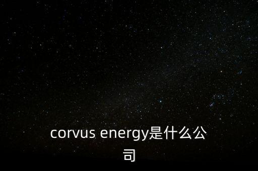 智慧松德是什么公司，corvus energy是什么公司
