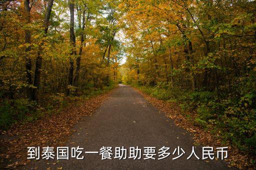 助幣是什么意思，到泰國吃一餐助助要多少人民幣