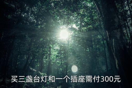買(mǎi)三盞臺(tái)燈和一個(gè)插座需付300元