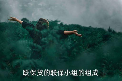 貸款中小組聯(lián)保特征是什么，聯(lián)保貸的聯(lián)保小組的組成