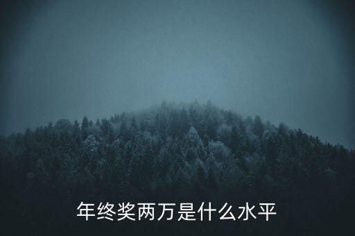 年終獎(jiǎng)10000什么水平，月薪1700年終獎(jiǎng)一萬算什么水平
