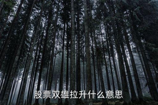 石化雙雄漲停意味著什么，股票雙雄拉升什么意思