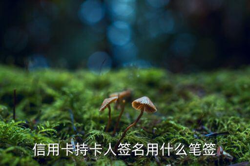 信用卡用什么筆簽名，信用卡持卡人簽名用什么筆簽
