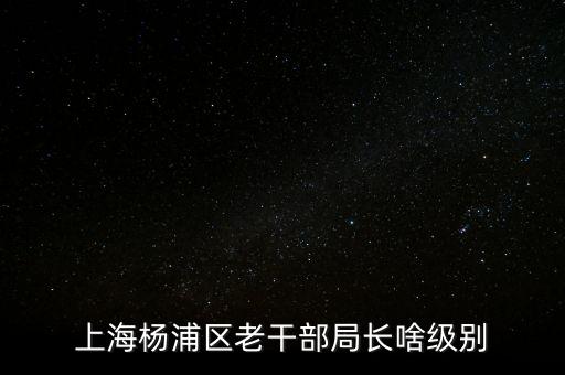 上海楊浦區(qū)老干部局長啥級別