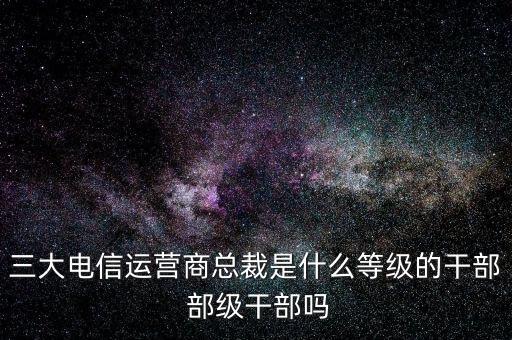 溫冬芬是什么級(jí)別，安徽省天長(zhǎng)市市委書記的行政級(jí)別是什么