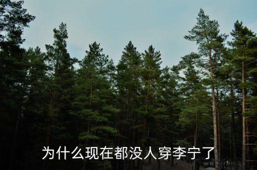 李寧為什么不行了，李寧公司為何一夜垮臺