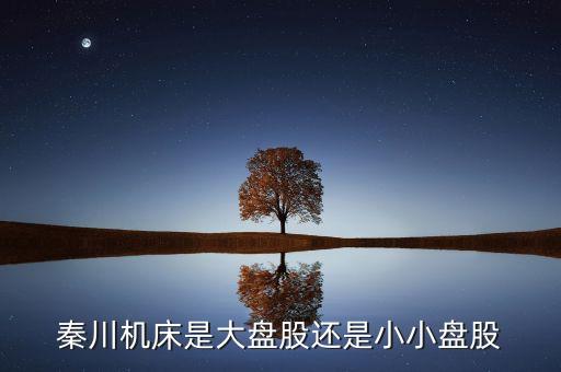秦川機(jī)床是什么板塊的，600248是屬于什么板塊的股有潛力沒的能看高到多少價(jià)位