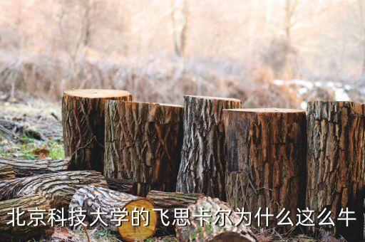飛思卡爾為什么虧損，飛思卡爾單片機為什么這么難用比其它廠的都難用有同感嗎  搜