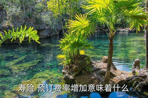 預(yù)定利率高意味著什么，當(dāng)實際利率比保險公司計算保費時的預(yù)定利率高時對于保險公司的經(jīng)