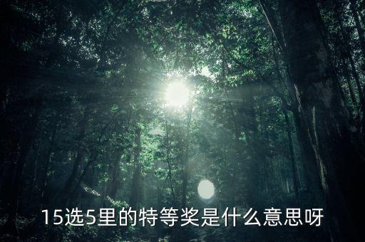 15選5 什么是特等獎(jiǎng)，15選5 怎么算中特等獎(jiǎng)