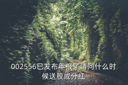深圳能源什么時(shí)候送股，深圳能源什么時(shí)候送股
