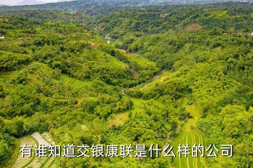 交銀康聯(lián)是什么公司，有誰(shuí)知道交銀康聯(lián)是什么樣的公司