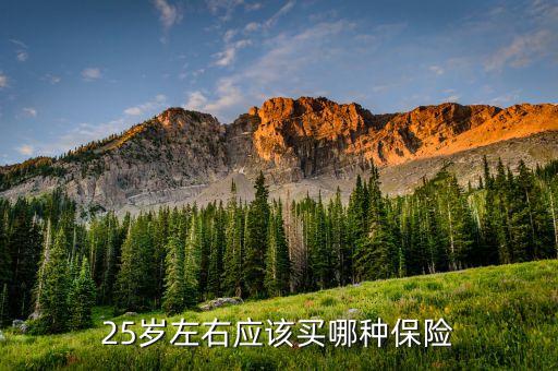 25歲買什么保險好，25歲買什么保險最劃算