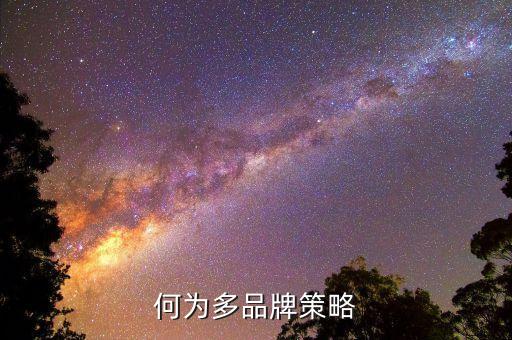 什么是多策略，何為多品牌策略