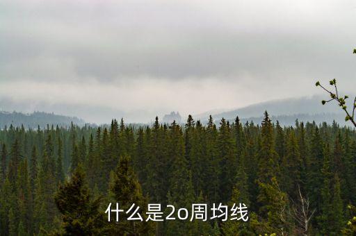 什么是20周均線，想問(wèn)一下股票大盤20周均線是什么點(diǎn)位