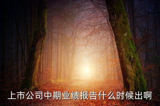 中報(bào)業(yè)績(jī)最晚什么時(shí)間公布，規(guī)定股票中報(bào)什么時(shí)候出