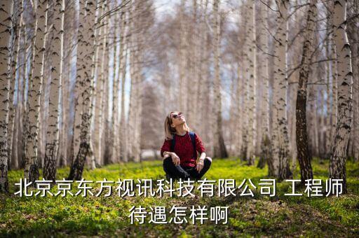 京東方視迅是什么公司，北京京東方視訊科技有限公司 工程師待遇怎樣啊