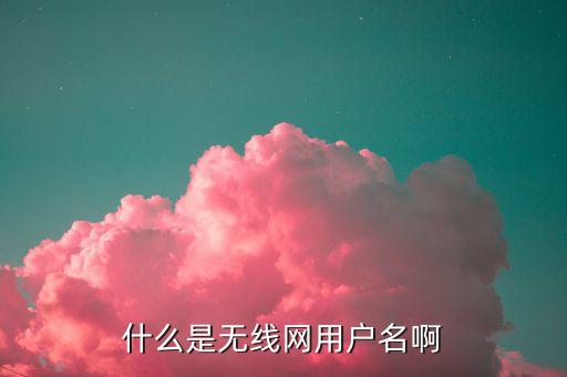什么是無(wú)線網(wǎng)用戶名啊