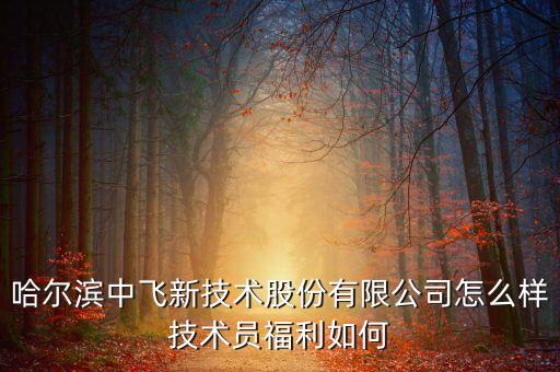 中飛股份公司做什么的，哈爾濱中飛新技術(shù)股份有限公司怎么樣技術(shù)員福利如何