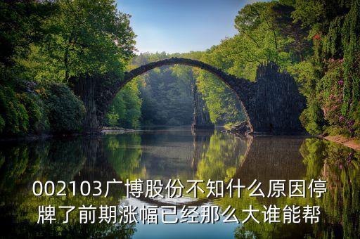 廣博股份什么時(shí)候復(fù)牌，002103廣博股份不知什么原因停牌了前期漲幅已經(jīng)那么大誰(shuí)能幫