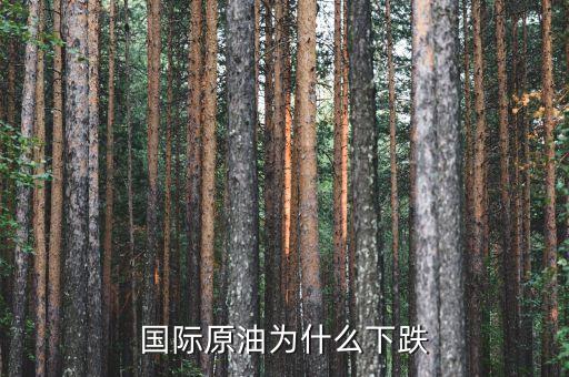 國際原油為什么暴跌，造成國際油價下跌的因素有哪些
