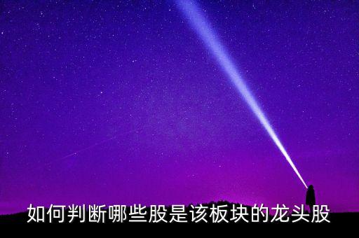 什么叫板塊龍頭股，如何判斷哪些股是該板塊的龍頭股
