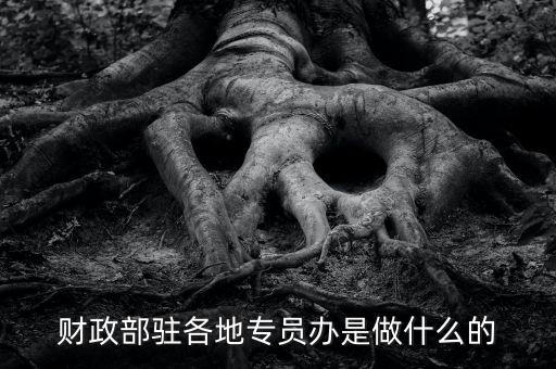財(cái)專辦是什么，財(cái)政部駐各地專員辦是做什么的