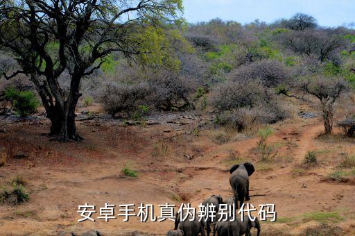 三星夢(mèng)想課堂是什么，權(quán)相宇的檔案資料