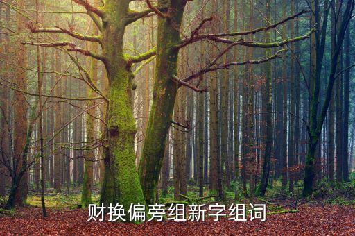 財(cái)能換什么，財(cái) 字可以換什么偏旁