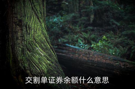 交割單中的剩余金額是什么，中原證券交割單里的本次金額什么意思