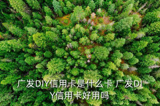 什么是diy信用卡，廣發(fā)DIY信用卡是什么卡 廣發(fā)DIY信用卡好用嗎
