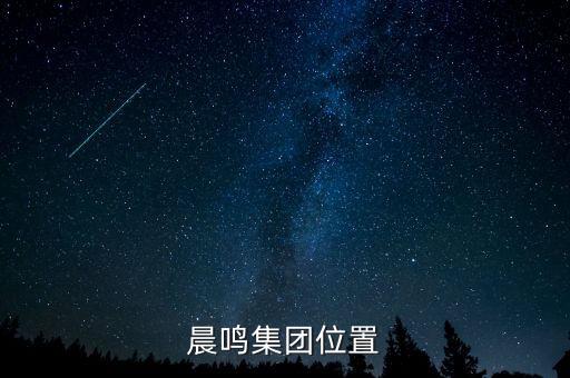 壽光造紙廢固是什么，晨鳴集團(tuán)位置