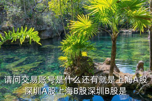股東賬號(hào)是什么，請(qǐng)問(wèn)交易賬號(hào)是什么還有就是上海A股深圳A股上海B股深圳B股是