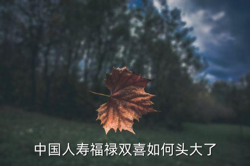 國(guó)企紅利是什么意思，企業(yè)分配紅利是什么意思