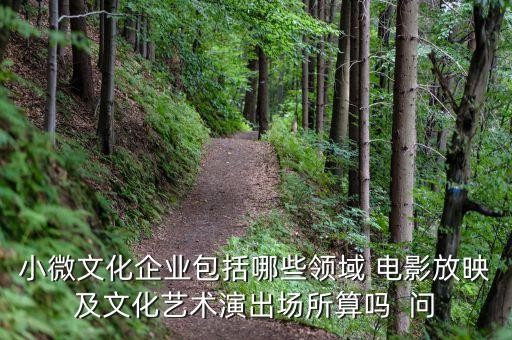 小微文化企業(yè)具體指什么，小微文化企業(yè)包括哪些領(lǐng)域 電影放映及文化藝術(shù)演出場(chǎng)所算嗎  問
