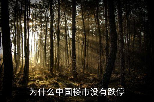 為什么中國(guó)房地產(chǎn)不崩盤(pán)，為什么中國(guó)樓市沒(méi)有跌停